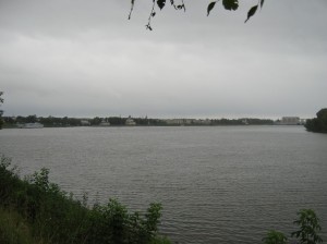 IMG 7992