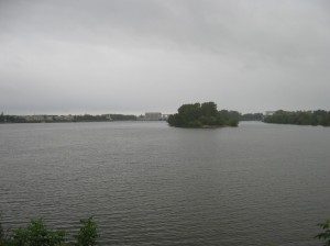 IMG 7993