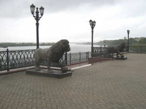 IMG 8000
