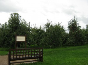 IMG 8057
