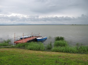 IMG 8071