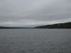 IMG 8181