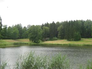 IMG 8854