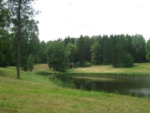 IMG 8855
