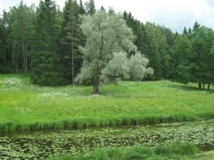 IMG 8856