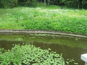 IMG 8859