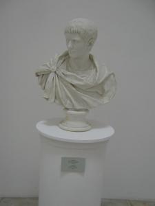 IMG 8867