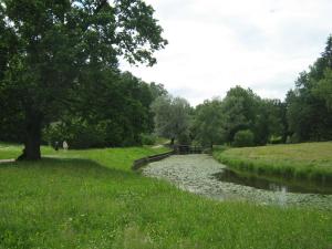 IMG 8870