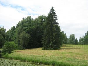 IMG 8871