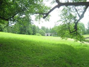IMG 8876