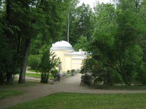 IMG 8877