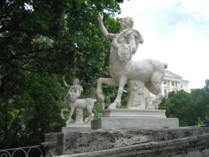 IMG 8884