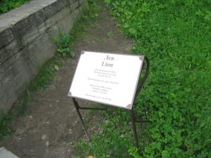 IMG 8890
