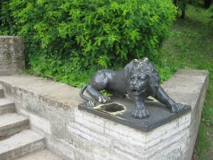 IMG 8892