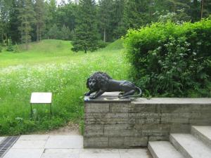 IMG 8893