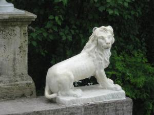 IMG 8895