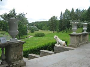 IMG 8897
