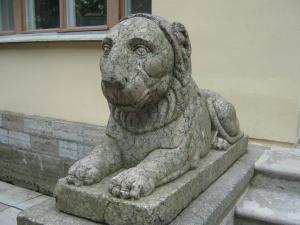 IMG 8898