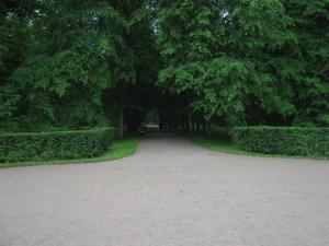 IMG 9000