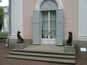 IMG 9007