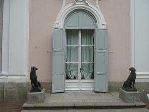 IMG 9008