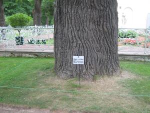 IMG 9021