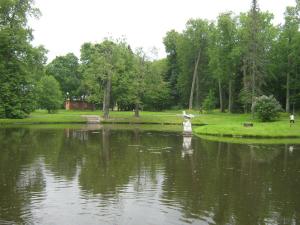 IMG 9029