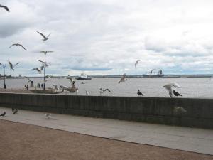 IMG 9072