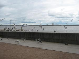 IMG 9073