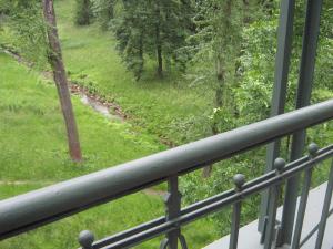 IMG 9095