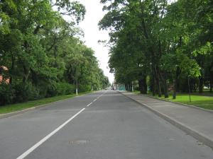 IMG 9100