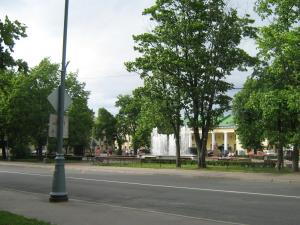 IMG 9101