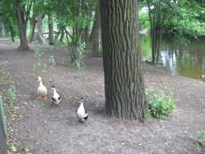 IMG 9317