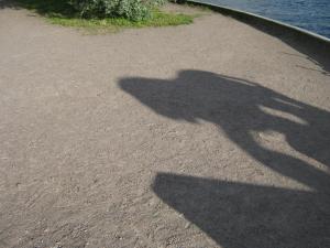 IMG 9323