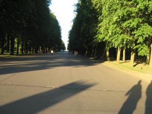 IMG 9350