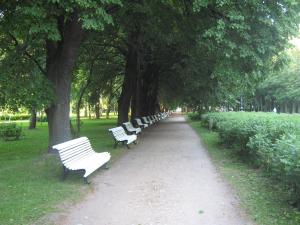 IMG 9351
