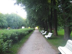 IMG 9352